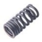 Spring valve ( INT )