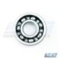 COUNTER BALANCE SHAFT BEARING 800/951 COUNTER BALANCE SHAFT BEARING 800/951