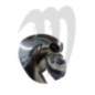 Impeller Dynafly, X2-800 / SXR-800 (impeller modified) Impeller Dynafly, X2-800 / SXR-800 (impeller modified)