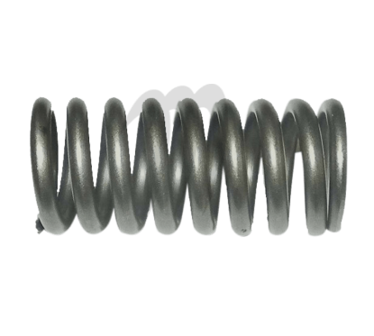 Ressort de soupape d'admission Yamaha 1000/ 1100 (02-17)