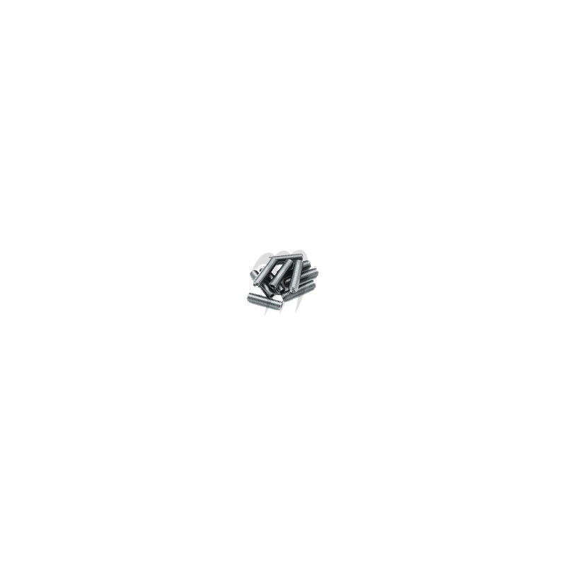 PACK OF STEEL SCREW 8x30 PACK OF STEEL SCREW 8x30