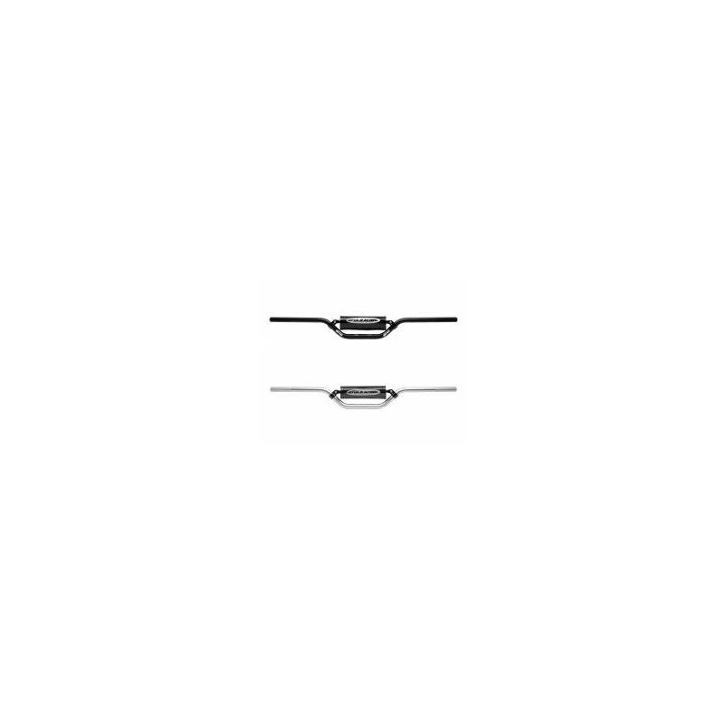 Guidon