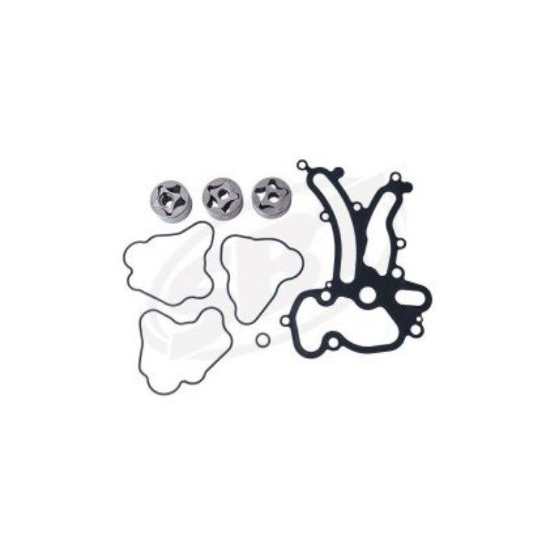Oil pump kit Oil pump kit