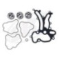 Oil pump kit Oil pump kit