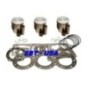 WSM USA . Kit Plunger Platinum, Kawasaki ,900cc (standard 73mm ) WSM USA . Kit Plunger Platinum, Kawasaki ,900cc (standard 73mm )