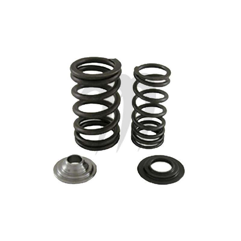 RIVA . KIT RESSORT DE VALVE UPGRADE , FX-SHO / FZR / FZS