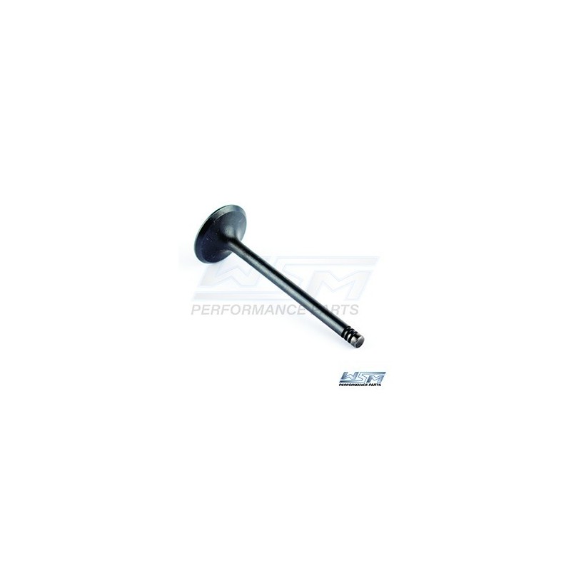 Exhaust valve