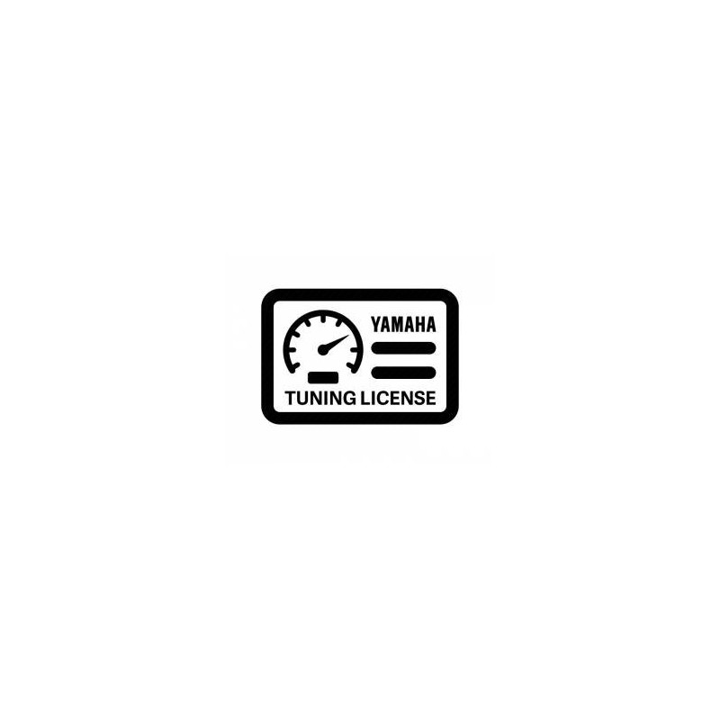 RIVA Yamaha FZR/FZS SVHO Speed Control Override Module