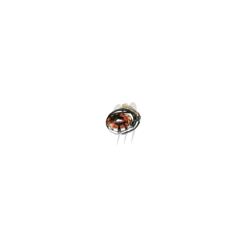 Stator Kawasaki 750 SXI /SXI PRO /800 SX-R Stator Kawasaki 750 SXI /SXI PRO /800 SX-R