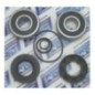 Kit réparation turbine Polaris SL 650/ SL 750 Kit réparation turbine Polaris SL 650/ SL 750