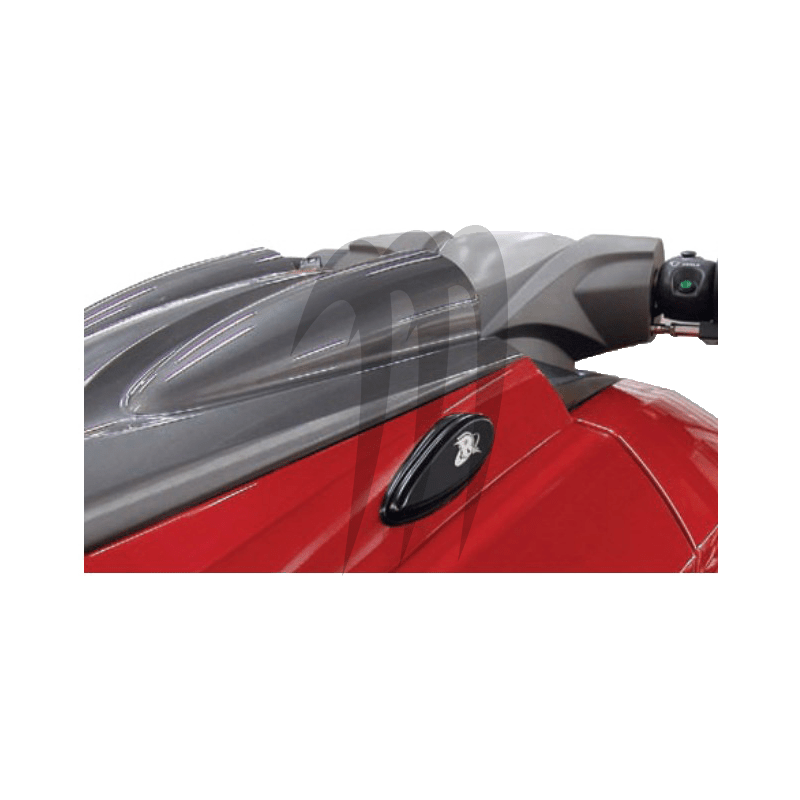 RIVA . BILLET MIRROR BLOCK-OFF-KIT, FZR . FZS RIVA . BILLET MIRROR BLOCK-OFF-KIT, FZR . FZS