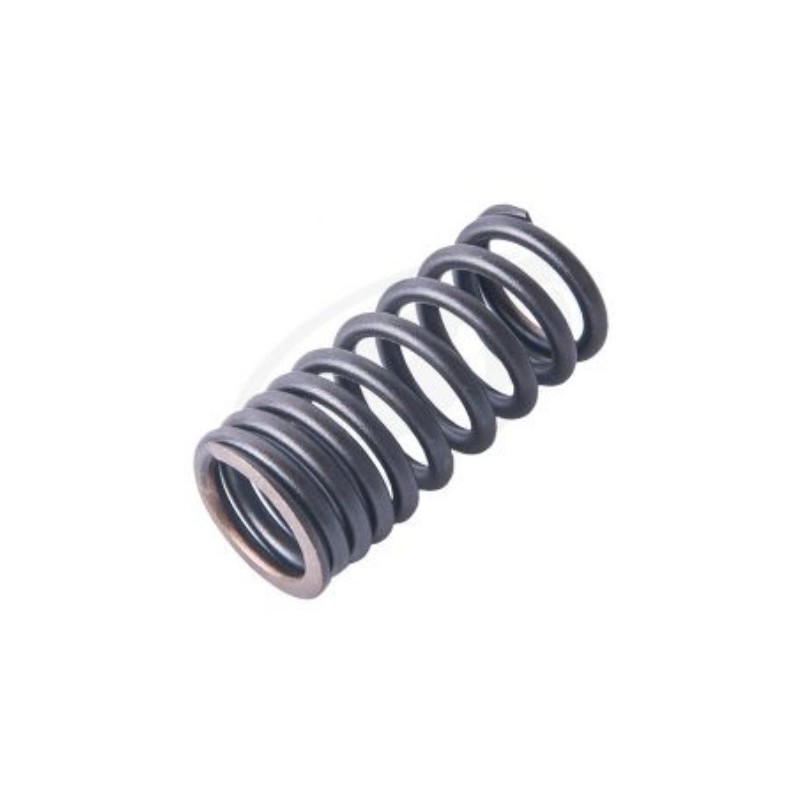 Valve spring ( EXT )