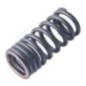 Valve spring ( EXT )