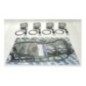 SBT -USA . Kit Plungers Premium, Kawasaki ,1498cc STX-15F (cote + 0.25mm) SBT -USA . Kit Plungers Premium, Kawasaki ,1498cc STX-15F (cote + 0.25mm)