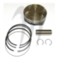 SBT -USA . Plunger Premium, BRP Sea-Doo, 130HP/155HP( + 0.5mm ) SBT -USA . Plunger Premium, BRP Sea-Doo, 130HP/155HP( + 0.5mm )