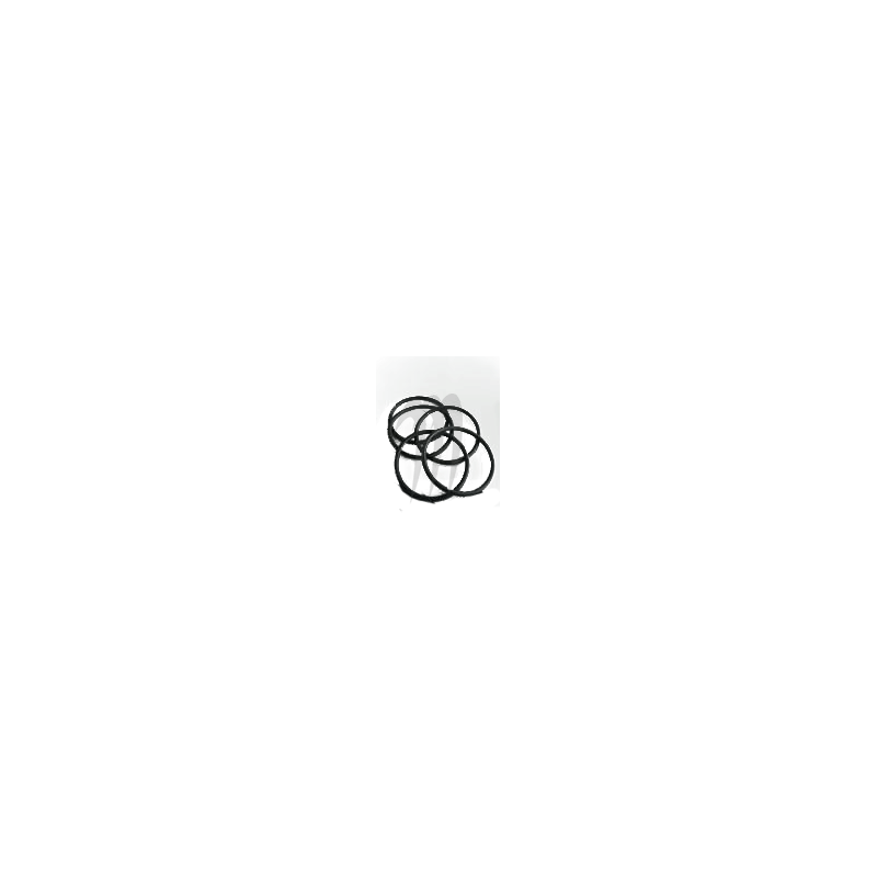 O-RING VITON  (buna o-ring 344 ), XP-ltd . 800-SXR