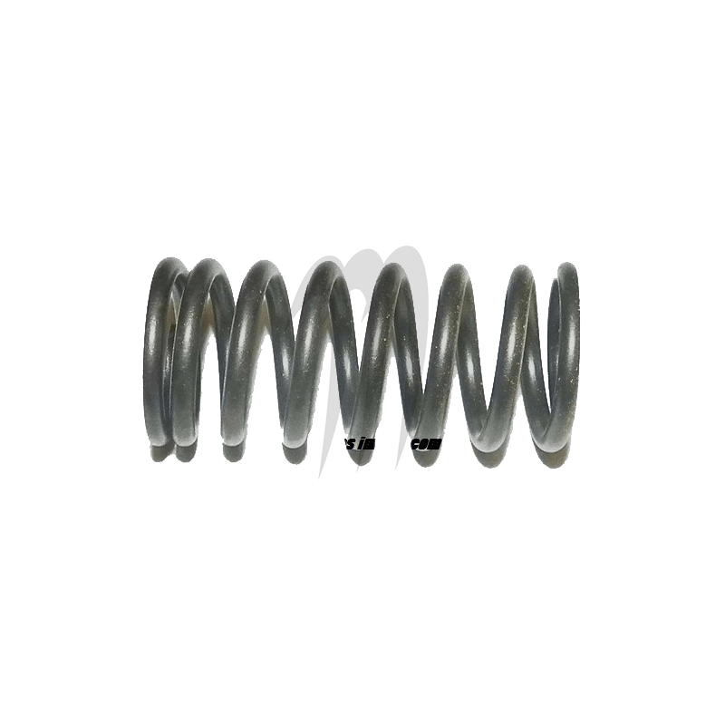 Spring valve (INT )