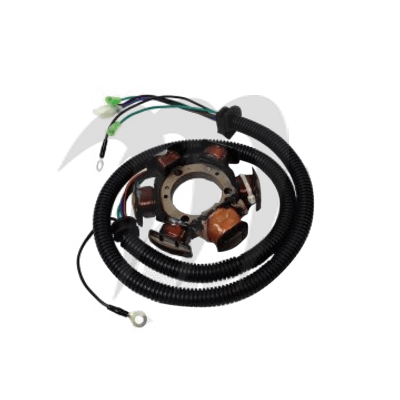 Complete Stator Assembly Amature Coil, 1200cc Complete Stator Assembly Amature Coil, 1200cc