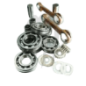 WSM USA .Kit Complete Reconditioning Crankshaft, Seadoo 650 WSM USA .Kit Complete Reconditioning Crankshaft, Seadoo 650