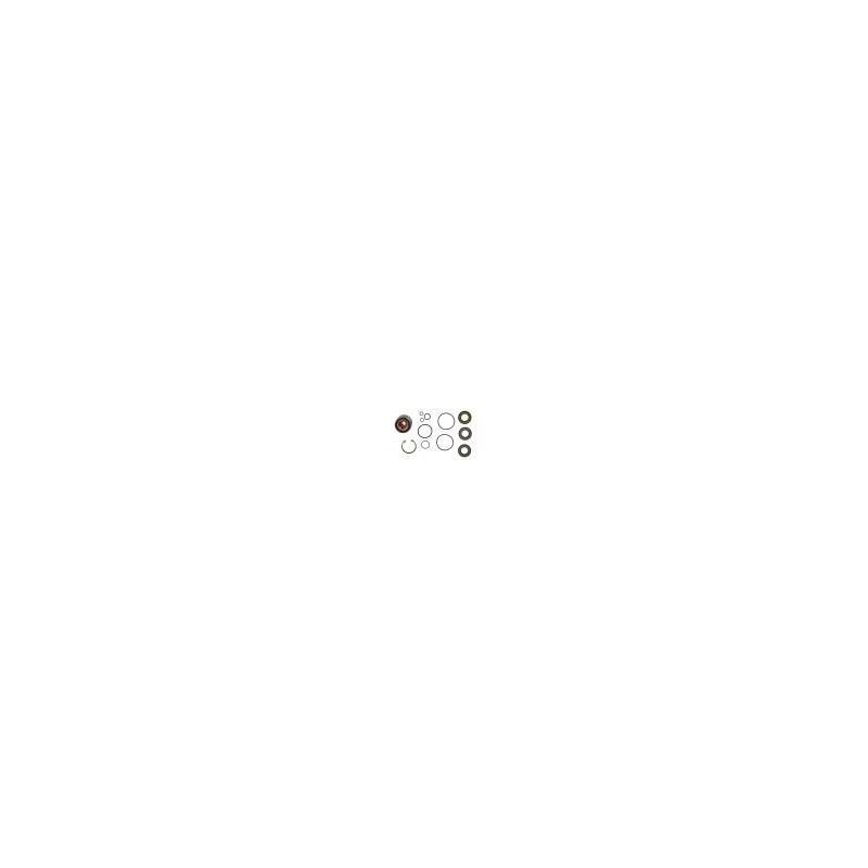 JET PUMP REPAIR KIT  , RXT-260 RS . 260 IS . 260 AS
