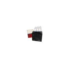 Battery 14Ah ( with acid ) - Jet Ski Parts - Matos import