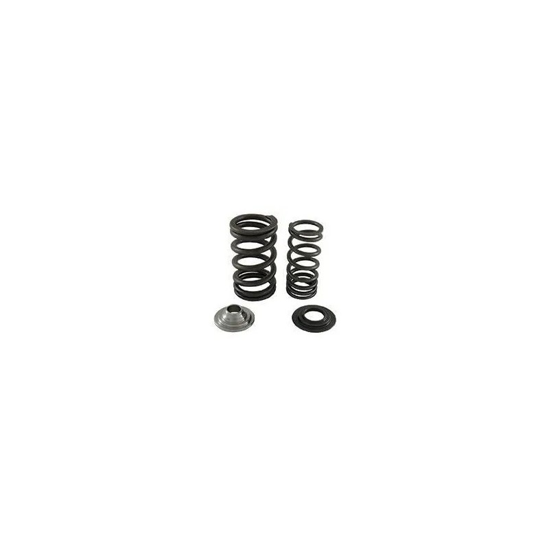 Complete Kit Springs Valves Racing Complete Kit Springs Valves Racing
