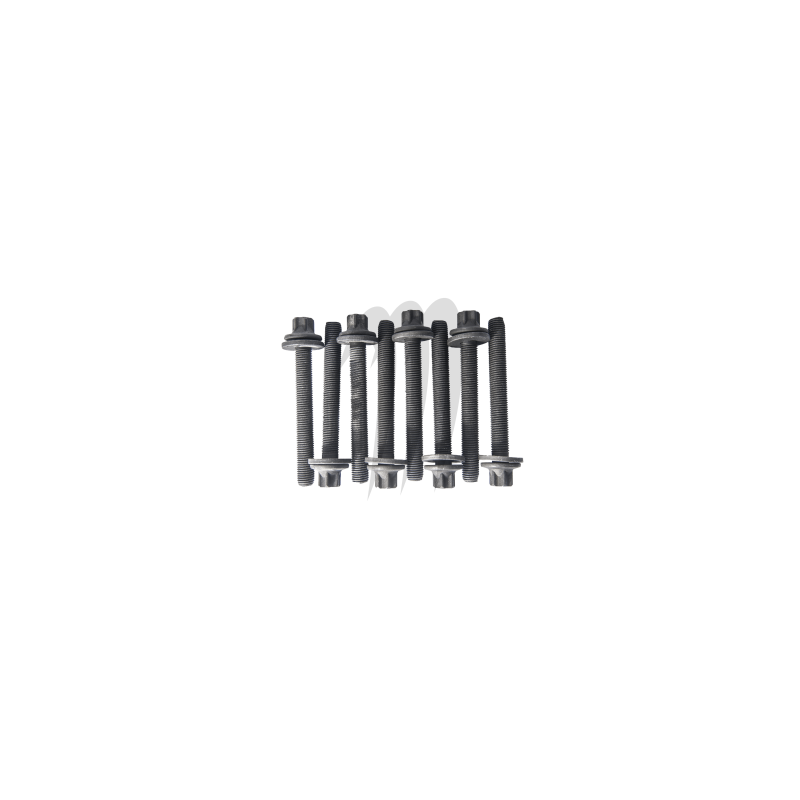 Full screw kit Enginecase