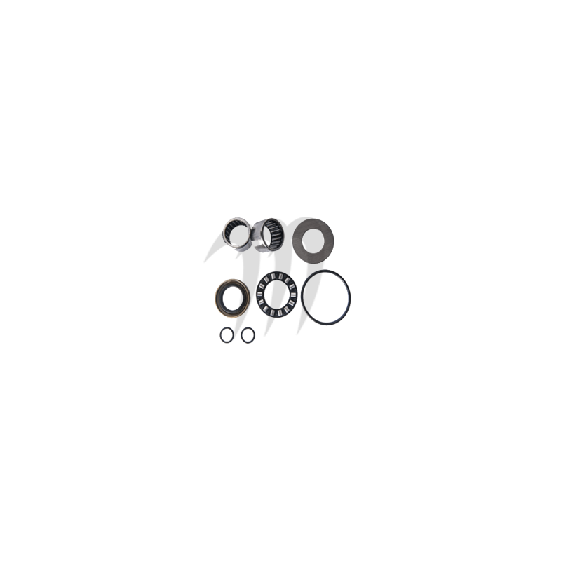 JET PUMP REPAIR KIT , 951cc.GTX-ltd .RX . GSX-ltd . XP-ltd . XP-Di