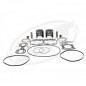 SBT -PROX . Kit Plungers Premium, Sea-Doo 800 (standard 82mm ) SBT -PROX . Kit Plungers Premium, Sea-Doo 800 (standard 82mm )