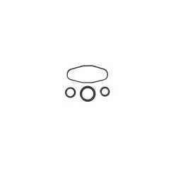 Sea Doo RAVE Valve Rebuild Kit GTX DI RX DI LRV DI XP DI 3D 947 DI