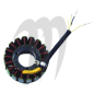 SBT- USA . Armature Stator ASS Y, Sea-doo   800cc . 951cc   ( OEM 420-866-588 )