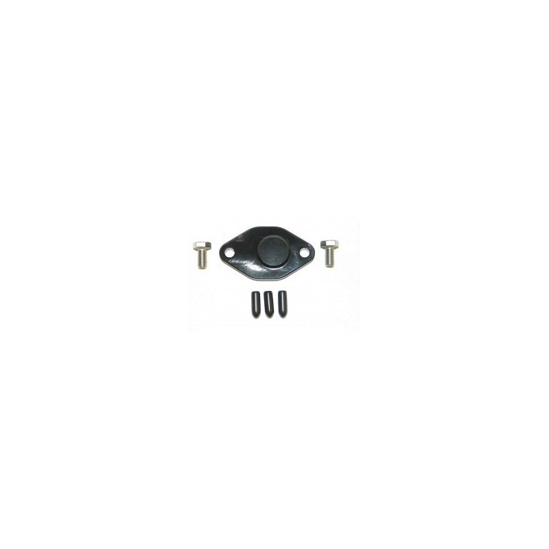 Plaque de suppression de pompe à huile Yamaha GPR/ SUV/ Wave Raider/ Wave Venture/ XLT/ XL/ XL Ltd Plaque de suppression de pompe à huile Yamaha GPR/ SUV/ Wave Raider/ Wave Venture/ XLT/ XL/ XL Ltd