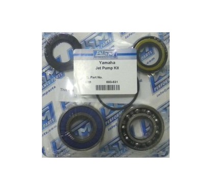 JET PUMP REPAIR KIT W Venture1100 700 W Blaster 760 W Venture1100